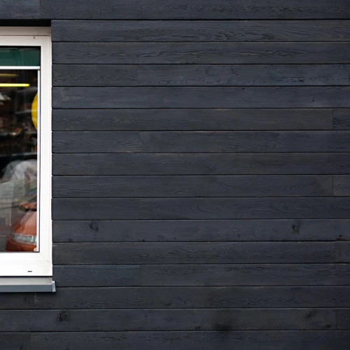 Modrzew syberyjski Palona Elewacja