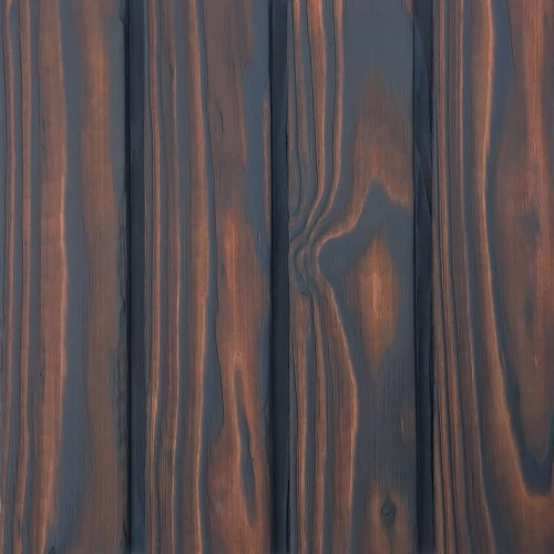 Świerk palony bursztynowy